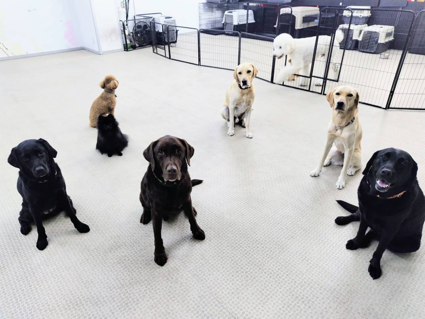 ピックアップ７　テキストテキスト