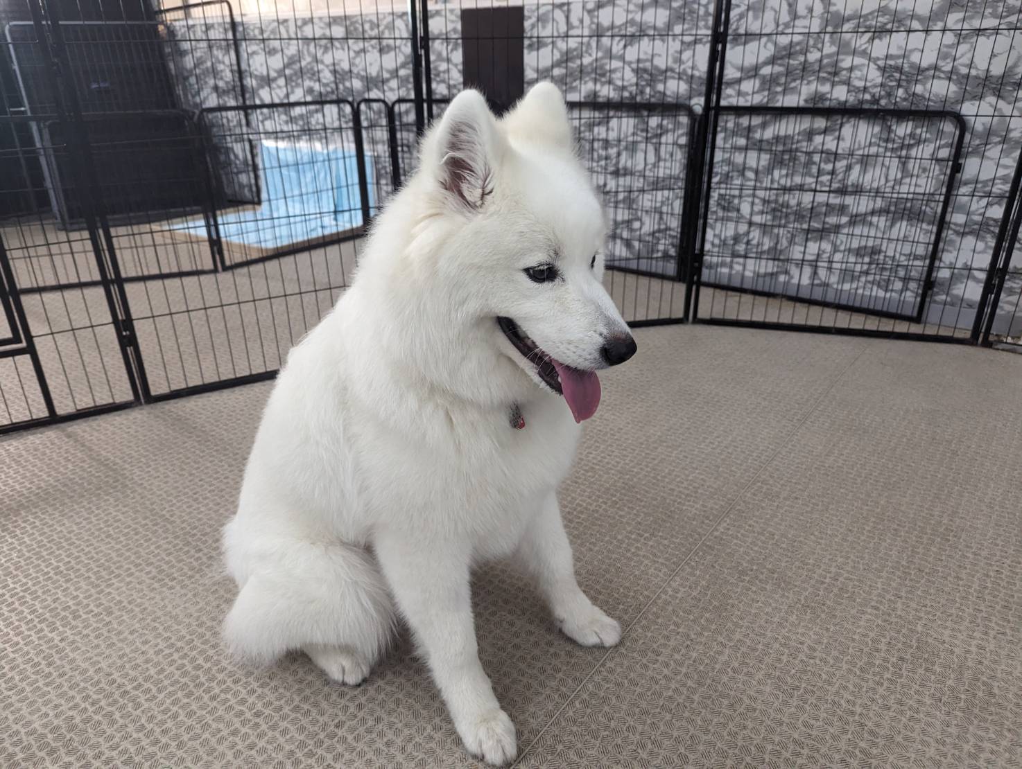 ピックアップ８　テキストテキスト