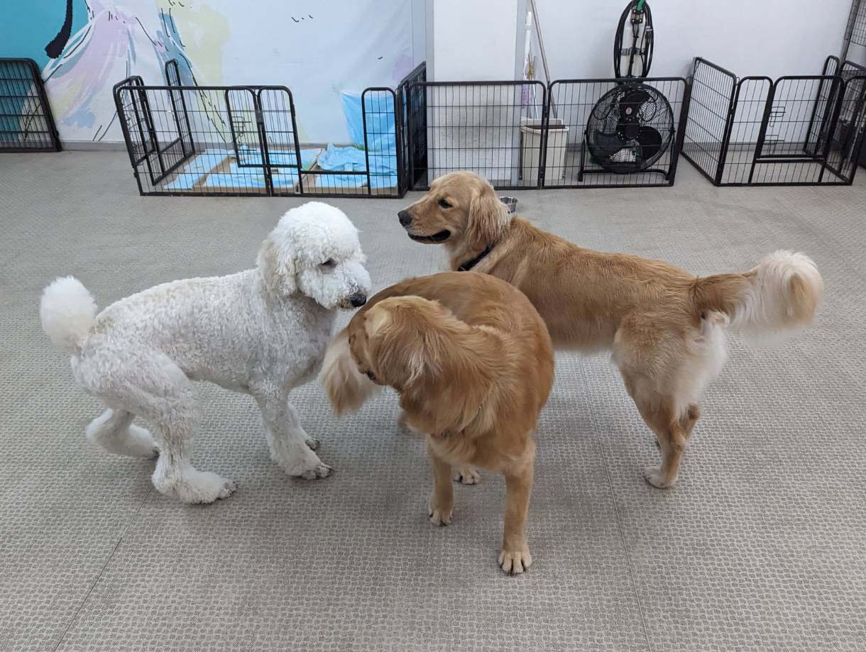 ピックアップ２　テキストテキスト