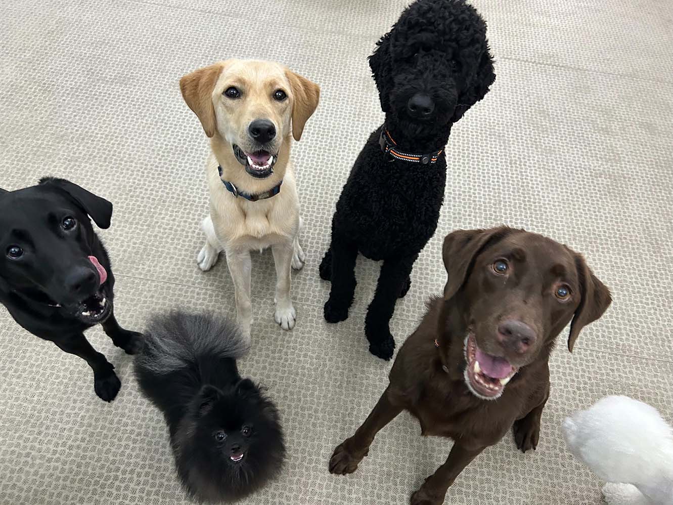 ピックアップ４　テキストテキスト